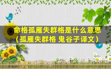 命格孤雁失群格是什么意思（孤雁失群格 鬼谷子译文）